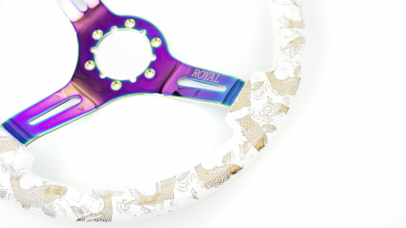 Halo w/ Carp Etch on Neochrome Spokes - 350mm