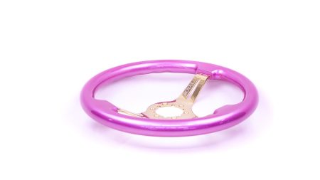 Sassy Pink on Gold Spokes - 350mm